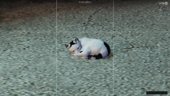 the Marshie the house cat mod